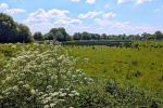 The countryside south of Bishopstoke