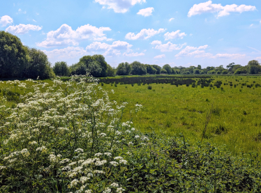 The countryside south of Bishopstoke